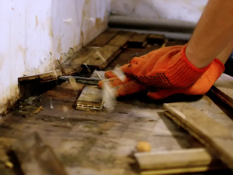 Mold remediation Orange County CA